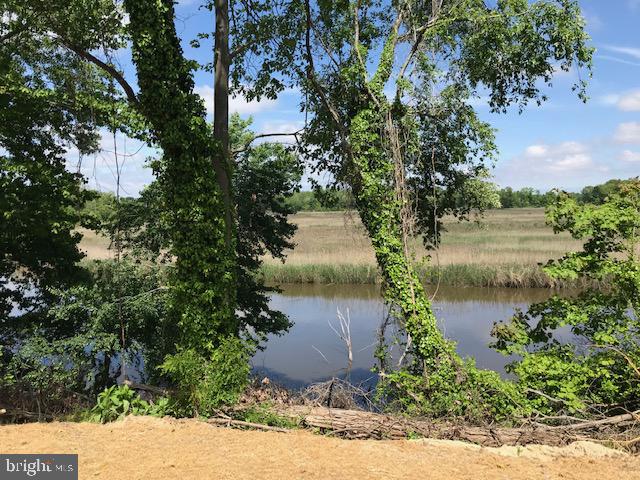 53 Raylen Court Magnolia, DE 19962 - Photo 8 of 18