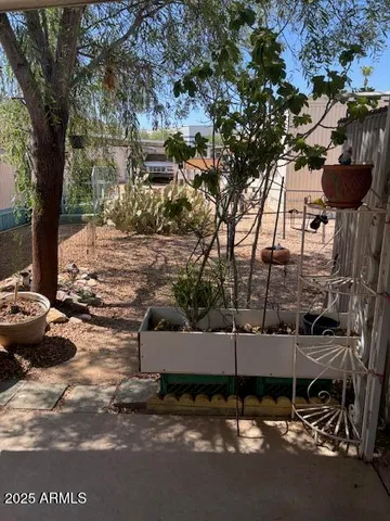 a view of a street with a tree