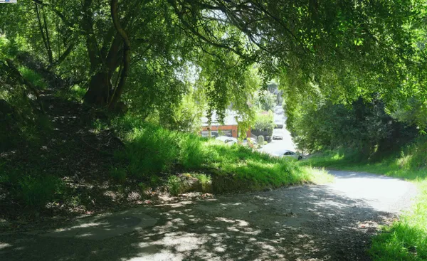 a view of yard