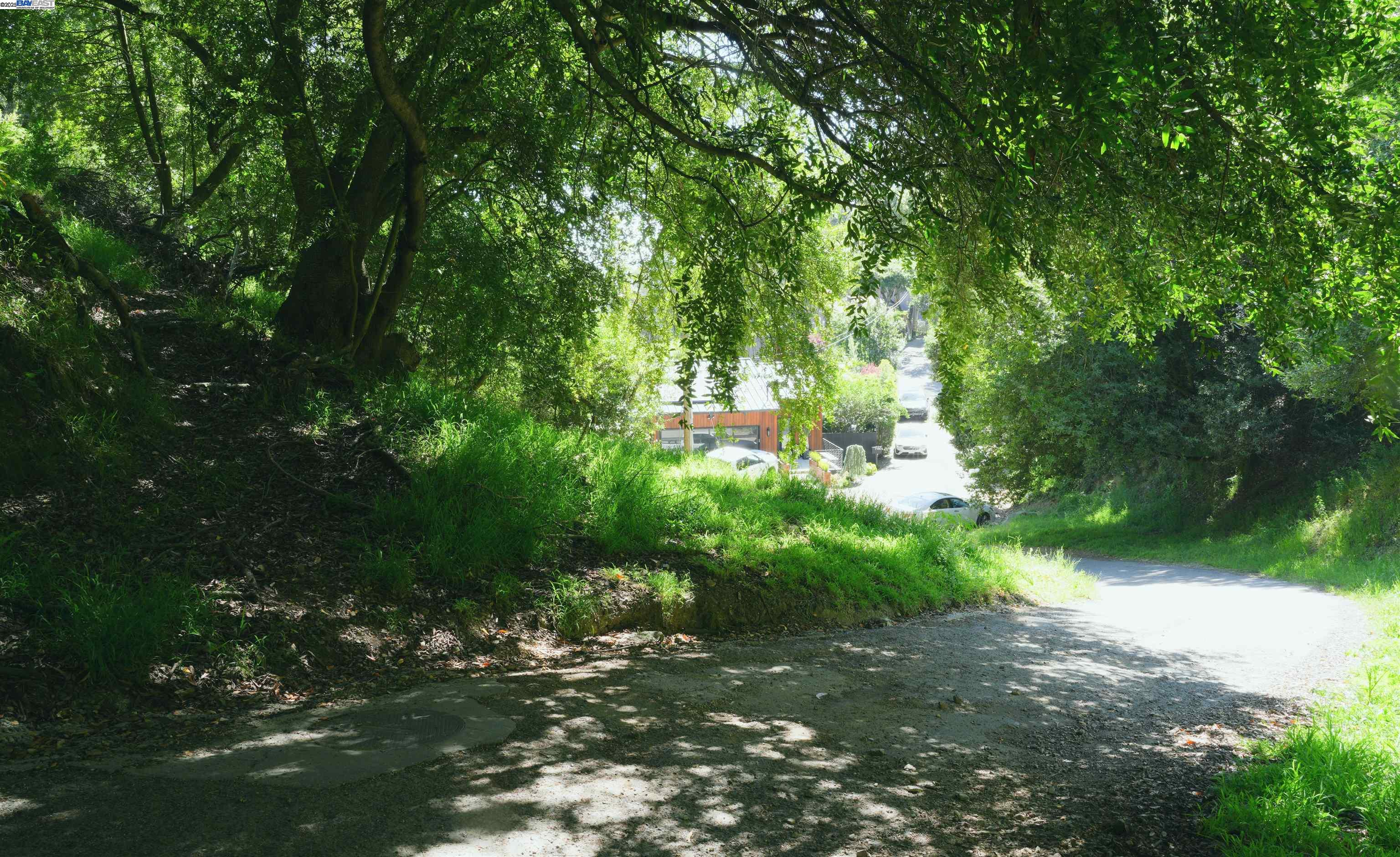 0 Willowbank Court Oakland, CA 94611 - Photo 1 of 13 a view of yard