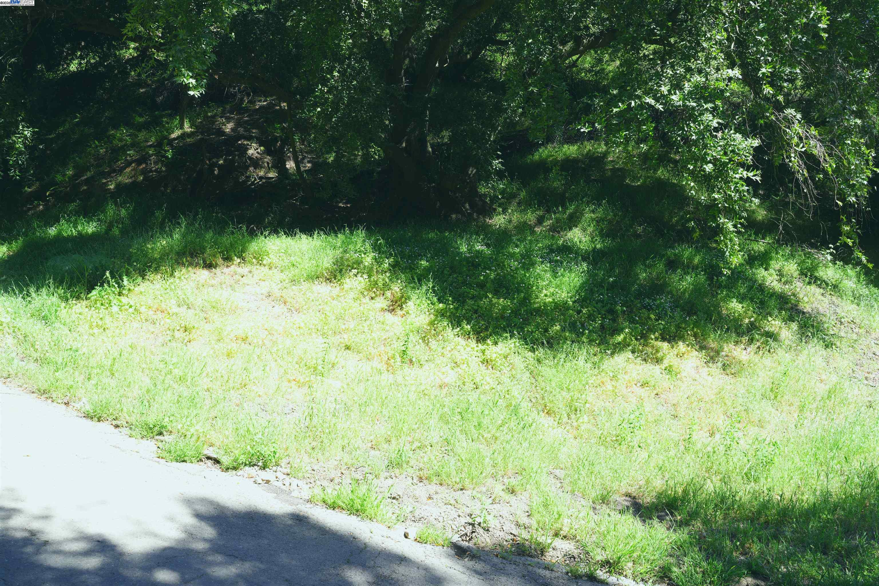 0 Willowbank Court Oakland, CA 94611 - Photo 3 of 13 a view of a yard with plants and a bench