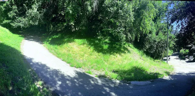 a view of a garden with a lake