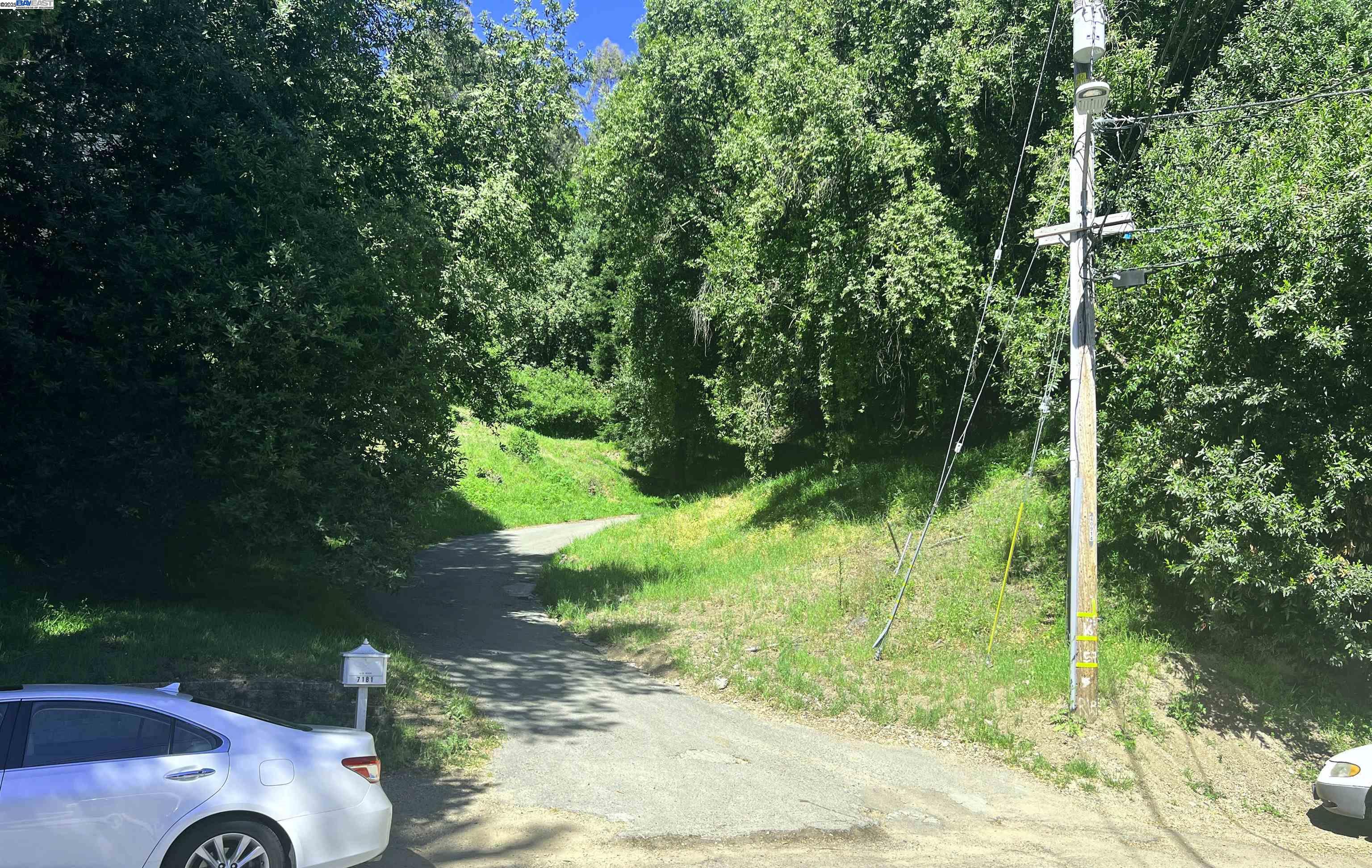 0 Willowbank Court Oakland, CA 94611 - Photo 7 of 13 a backyard of a house with lots of green space