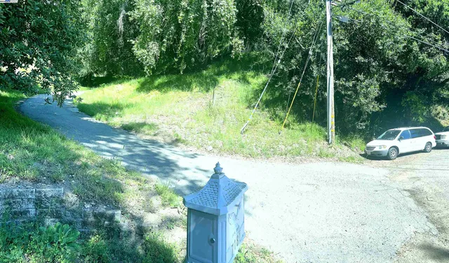a fire hydrant in the middle of a forest
