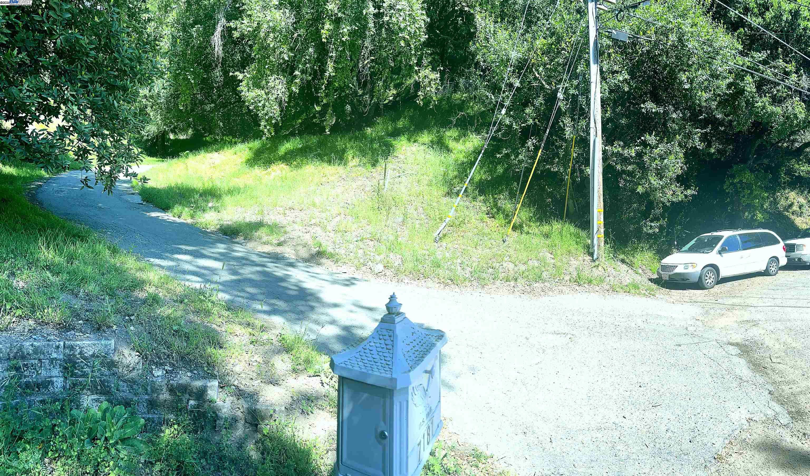 0 Willowbank Court Oakland, CA 94611 - Photo 8 of 13 a fire hydrant in the middle of a forest