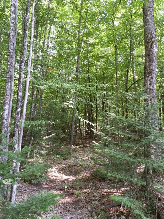 Lot 15 Pullen Road Garland, ME 04939 - Photo 12 of 19 Photo