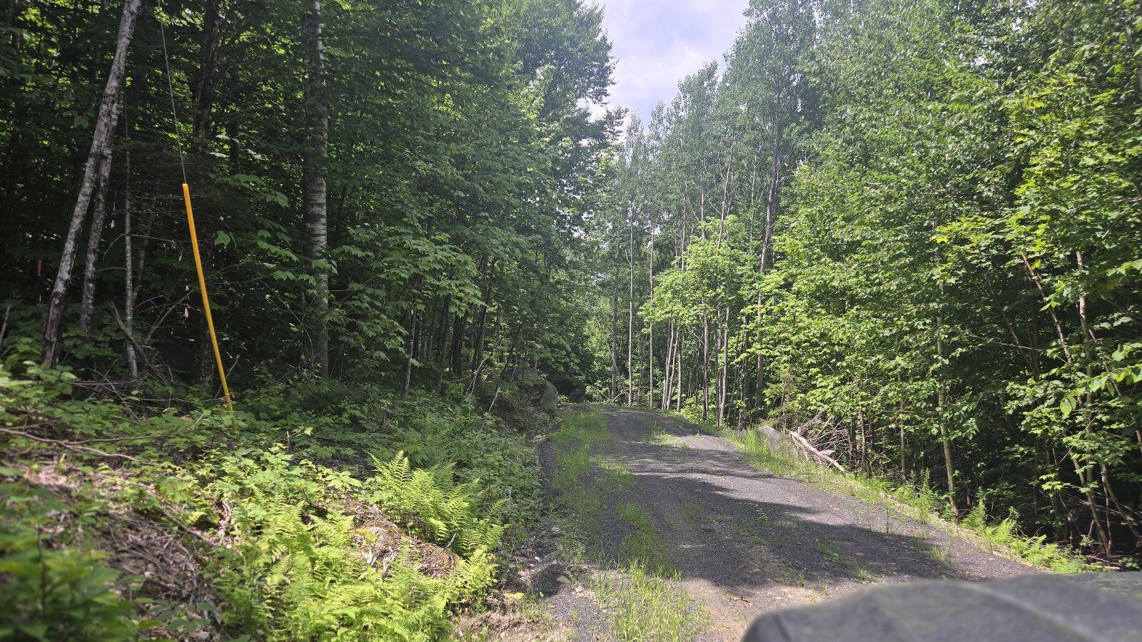 Lot 18 Granite Ridge Rd Island Falls Island Falls, ME 04747 - Photo 5 of 5 1000011206