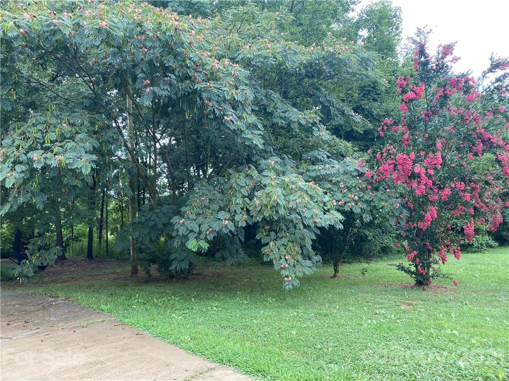 7210 Medlin Road Monroe, NC 28112 - Photo 2 of 30 a view of a tree in a yard