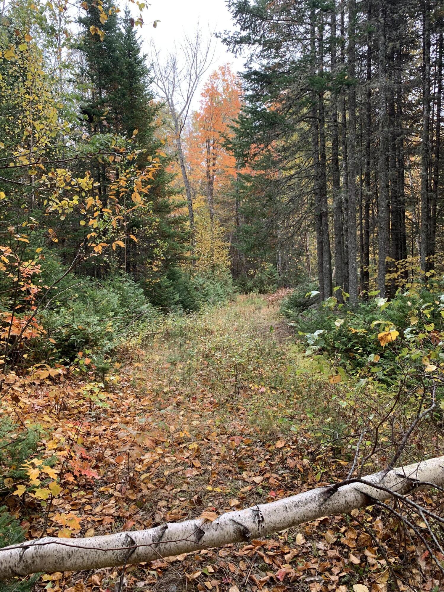 0 Berry Pit Road Hudson, ME 04449 - Photo 23 of 27 41E575FB-0760-41B7-B4CE-3C58859004D2