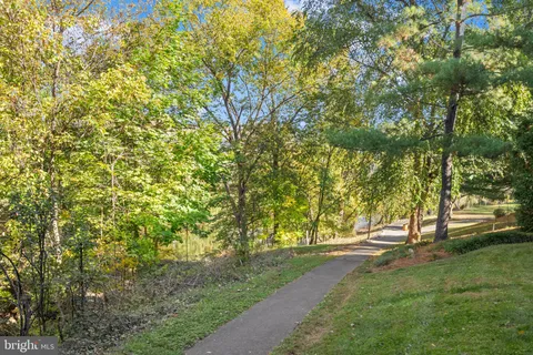 a view of park with tree