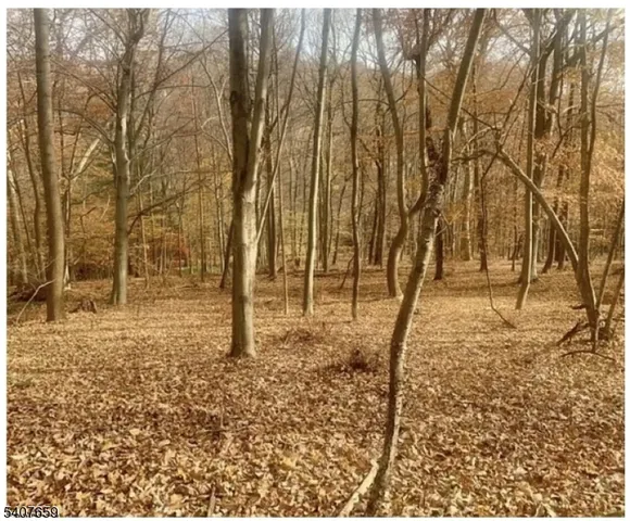 $125,000 | 85 Cherryville Hollow Road, Flemington, NJ 08822