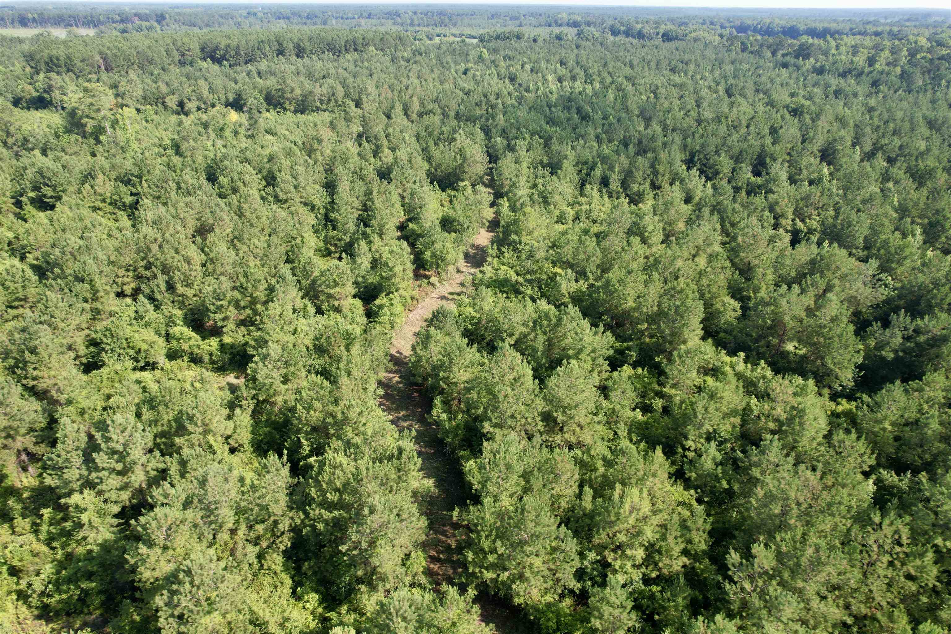101.49-acres - Epps Road New Zion, SC 29111 - Photo 23 of 24