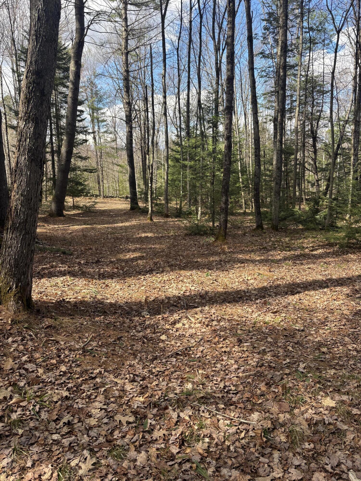 81 Applegate Lane Wilton, ME 04294 - Photo 11 of 84 IMG_8534