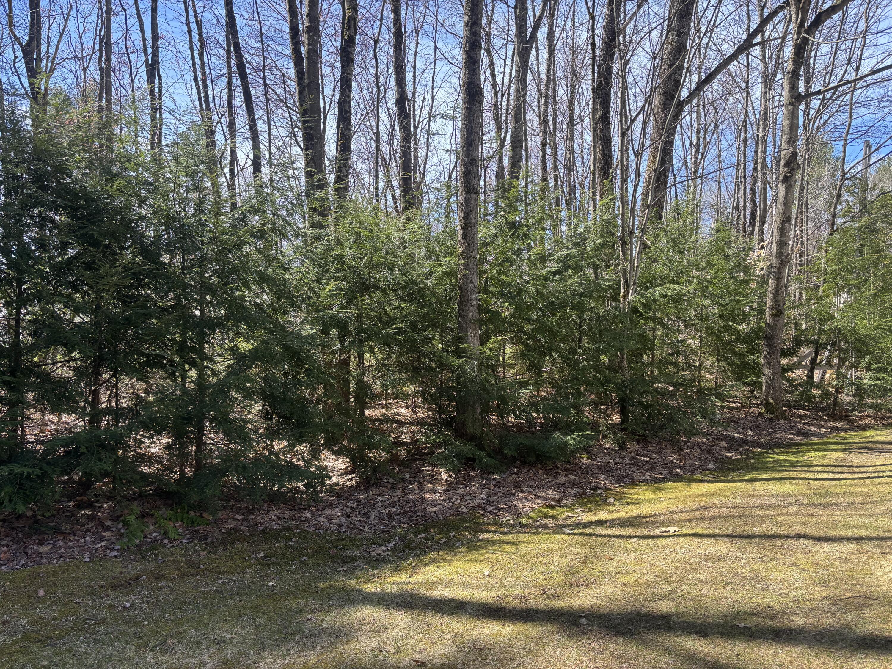 81 Applegate Lane Wilton, ME 04294 - Photo 80 of 84 IMG_8514