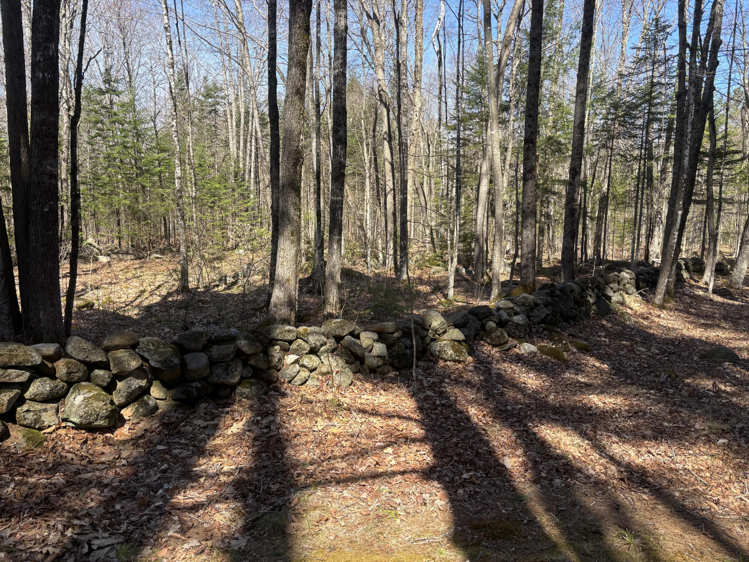81 Applegate Lane Wilton, ME 04294 - Photo 81 of 84 IMG_8512