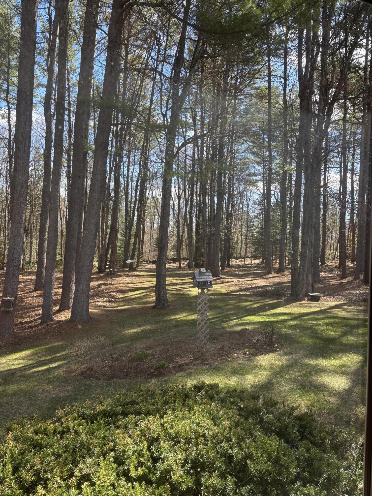 81 Applegate Lane Wilton, ME 04294 - Photo 83 of 84 IMG_8442