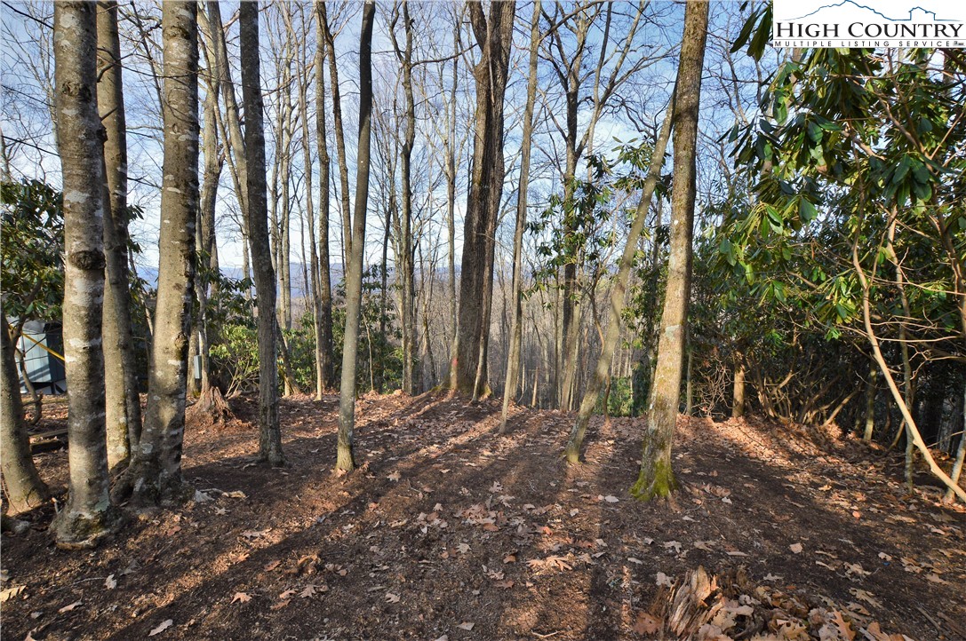 728 Pine Ridge Road Beech Mountain, NC 28604 - Photo 4 of 12