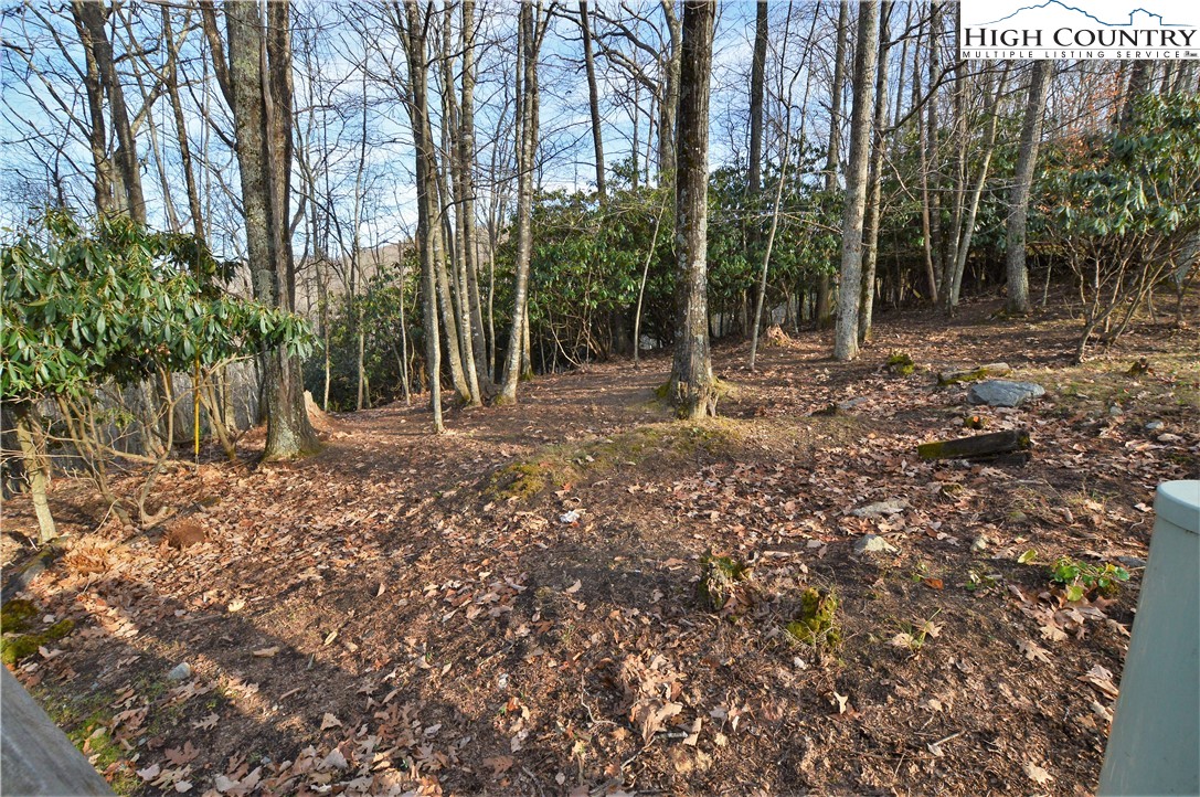 728 Pine Ridge Road Beech Mountain, NC 28604 - Photo 8 of 12