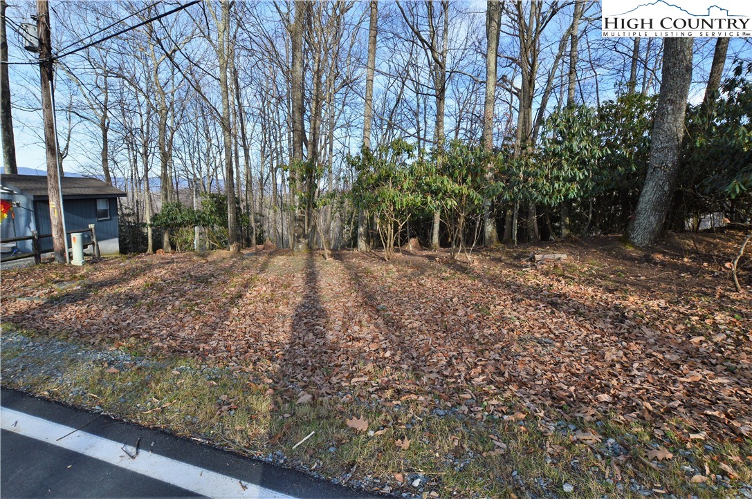 728 Pine Ridge Road Beech Mountain, NC 28604 - Photo 9 of 12