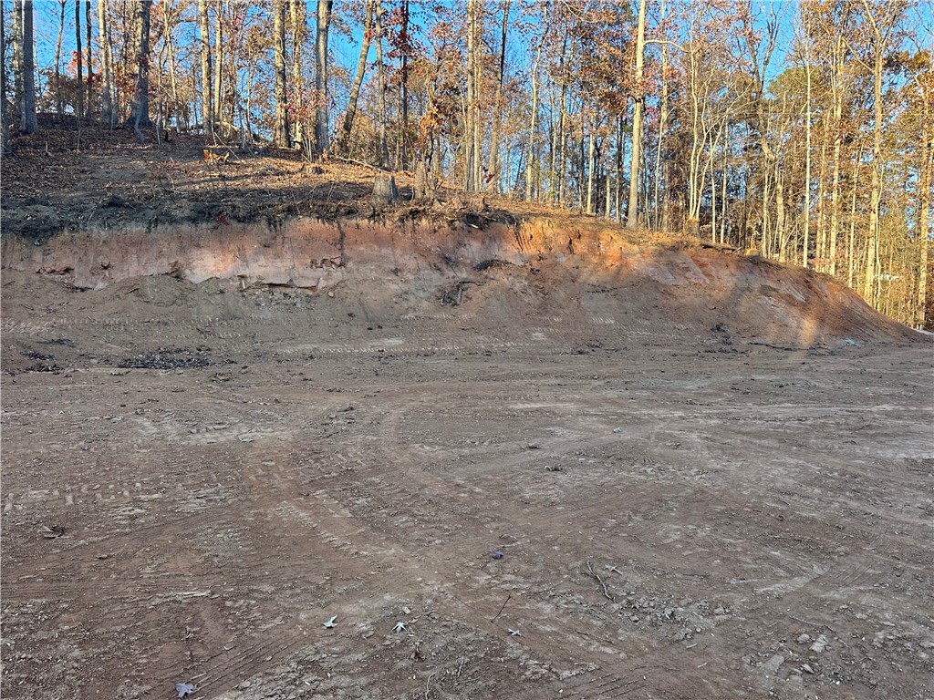 239 Brandywine Drive Westminster, SC 29693 - Photo 11 of 20