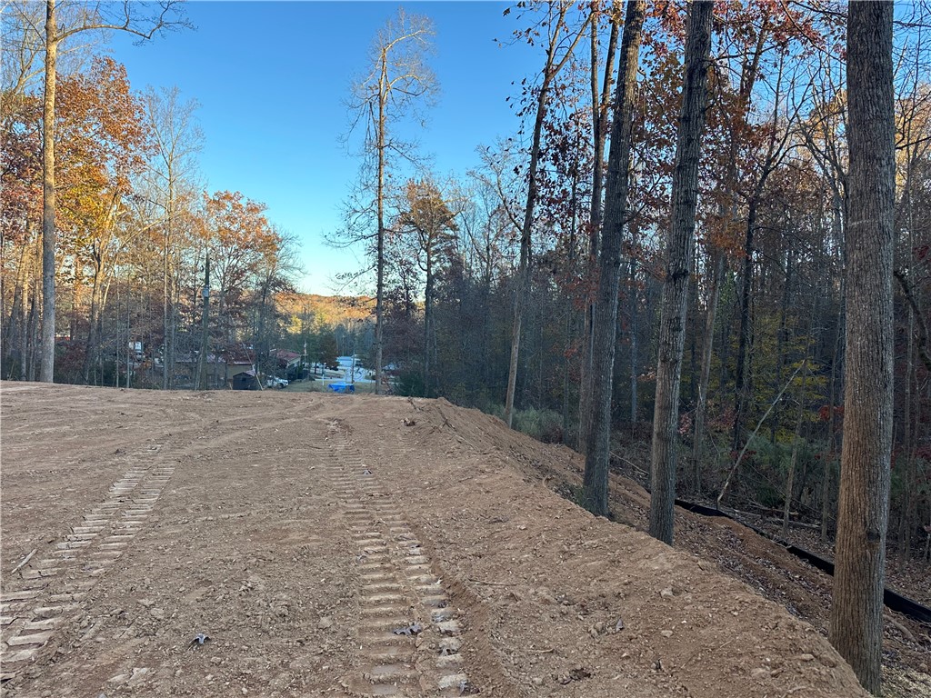 239 Brandywine Drive Westminster, SC 29693 - Photo 12 of 20