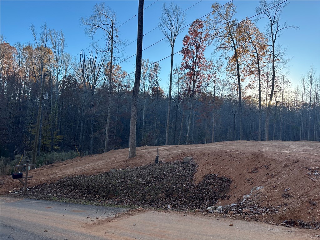 239 Brandywine Drive Westminster, SC 29693 - Photo 14 of 20