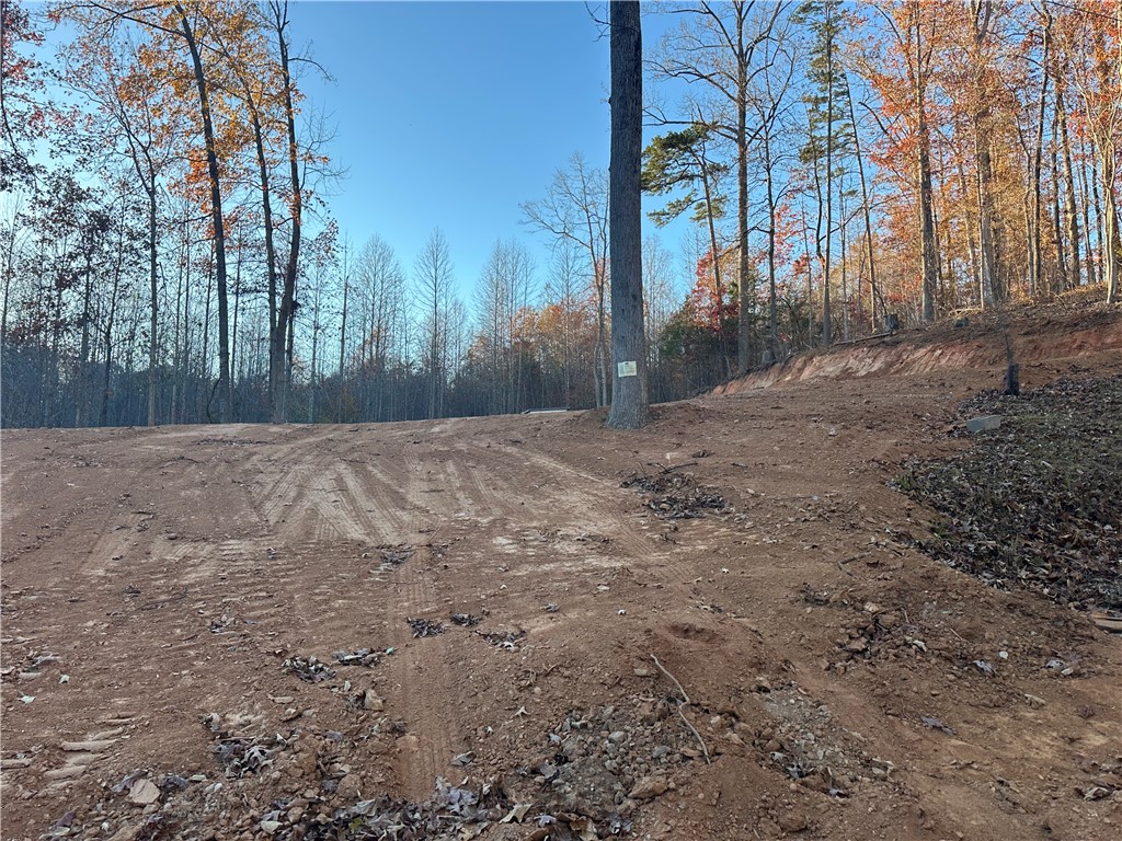 239 Brandywine Drive Westminster, SC 29693 - Photo 16 of 20