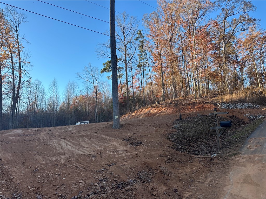 239 Brandywine Drive Westminster, SC 29693 - Photo 2 of 20