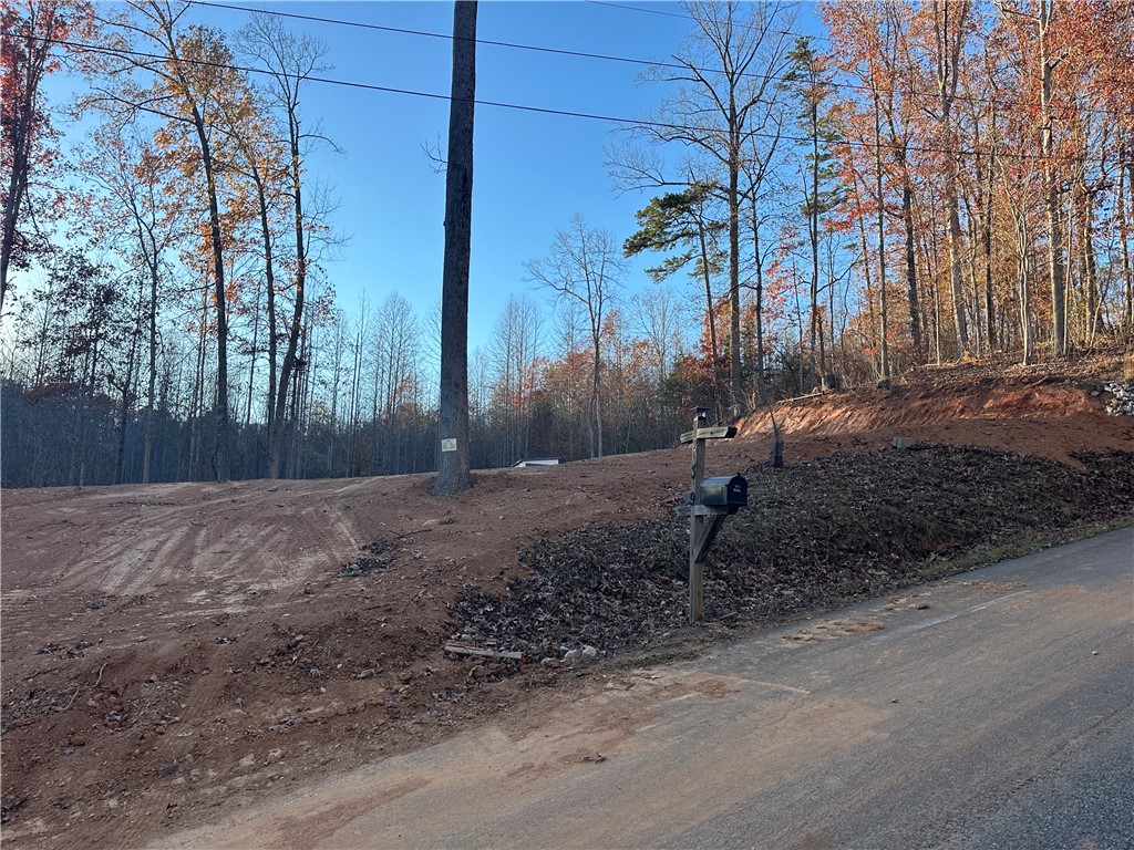 239 Brandywine Drive Westminster, SC 29693 - Photo 3 of 20