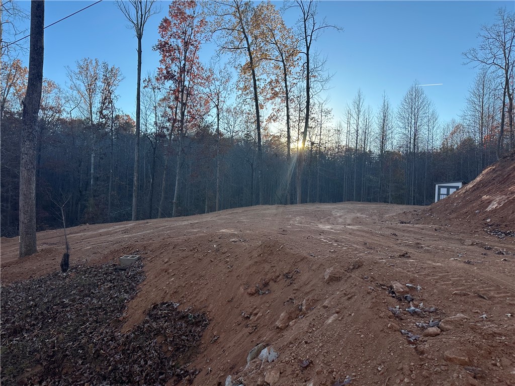 239 Brandywine Drive Westminster, SC 29693 - Photo 4 of 20