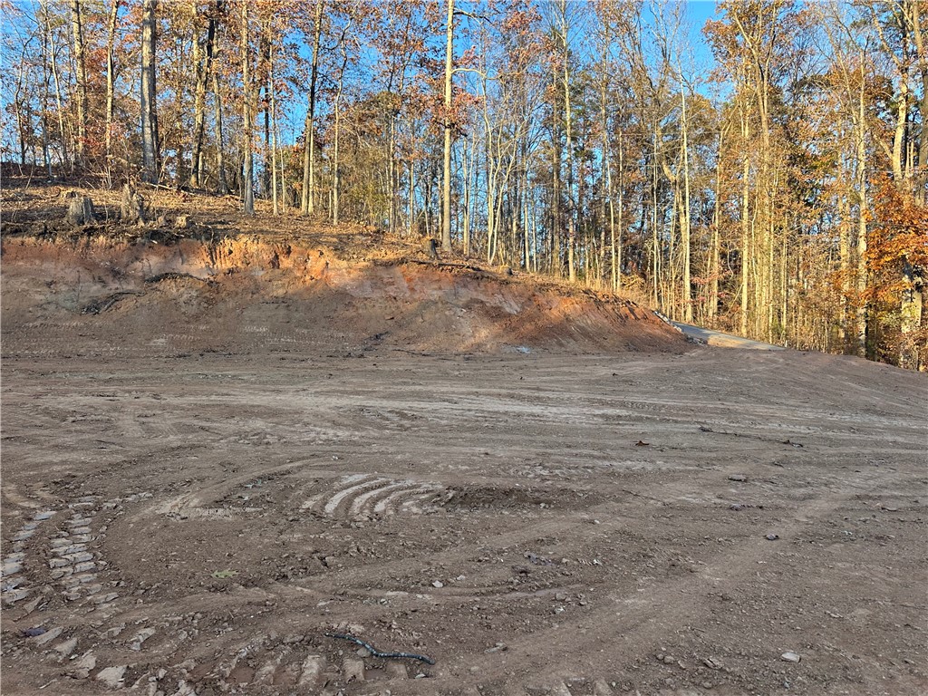 239 Brandywine Drive Westminster, SC 29693 - Photo 8 of 20