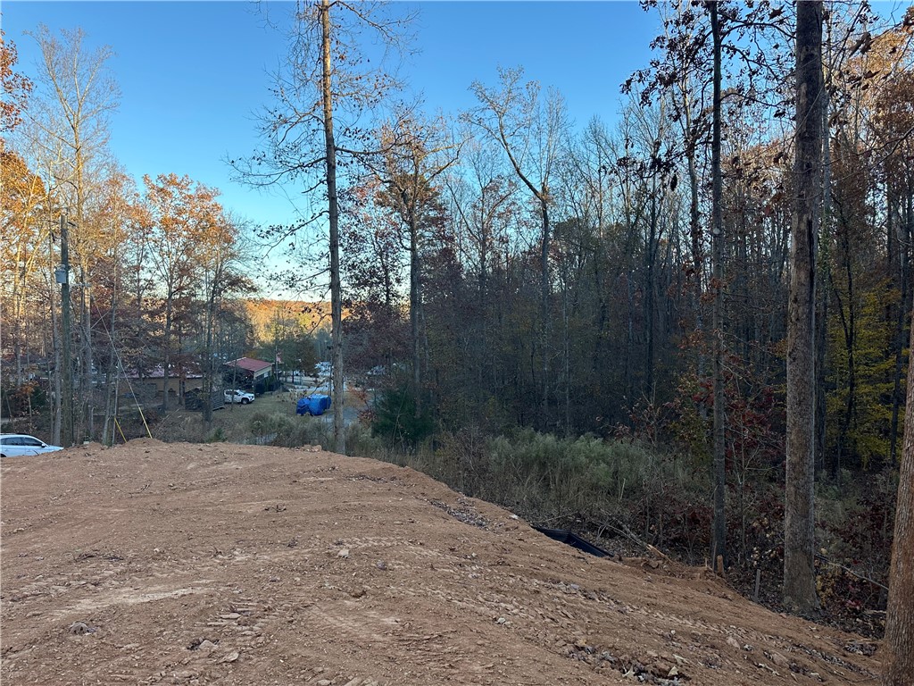 239 Brandywine Drive Westminster, SC 29693 - Photo 10 of 20