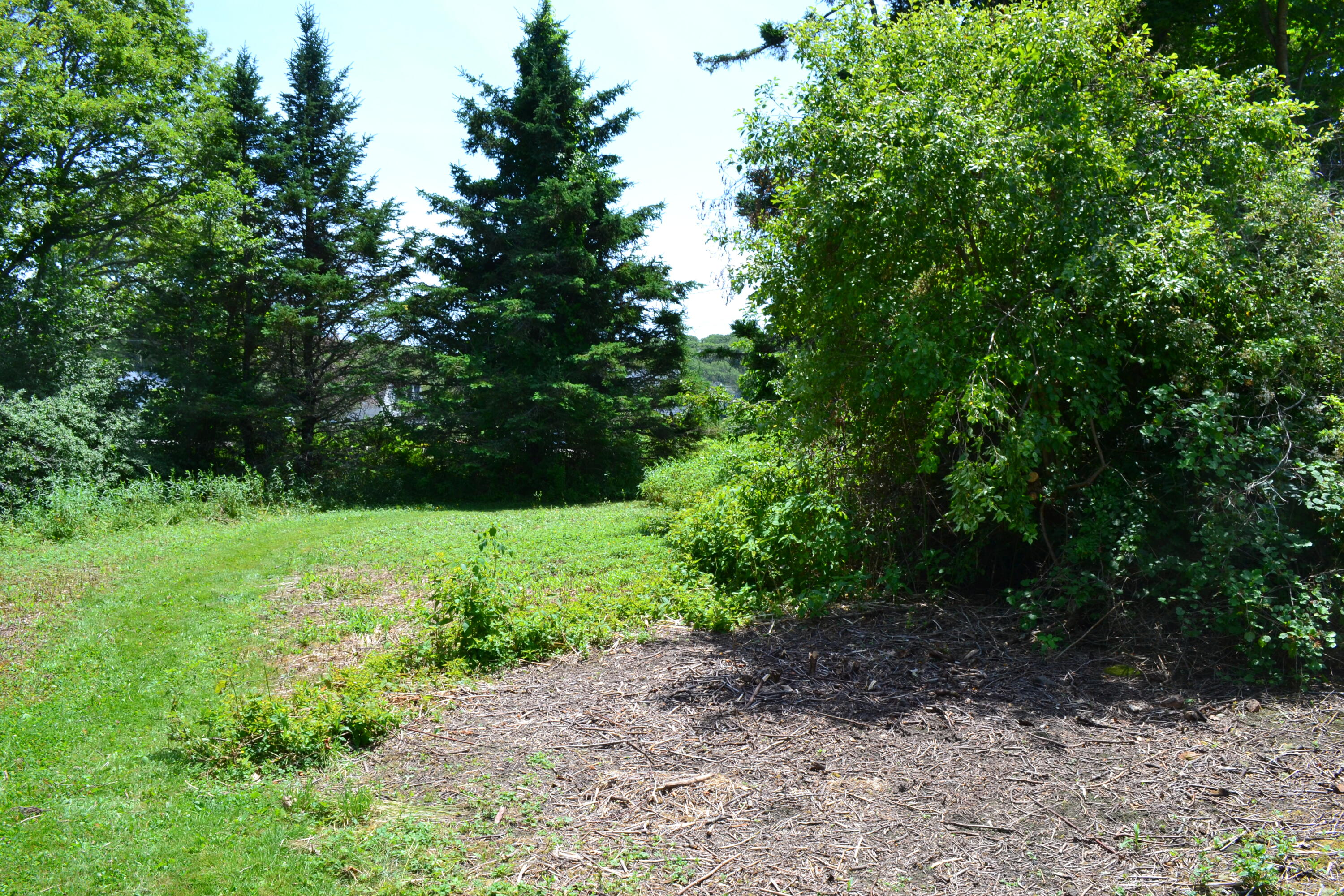 63 Bradley Shore Road Pemaquid, ME 04558 - Photo 16 of 22 DSC_0110