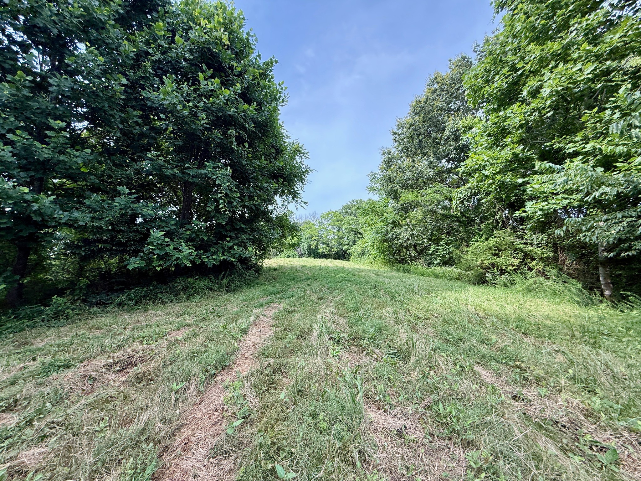 2663 Clear Fork Road Liberty, TN 37095 - Photo 11 of 100