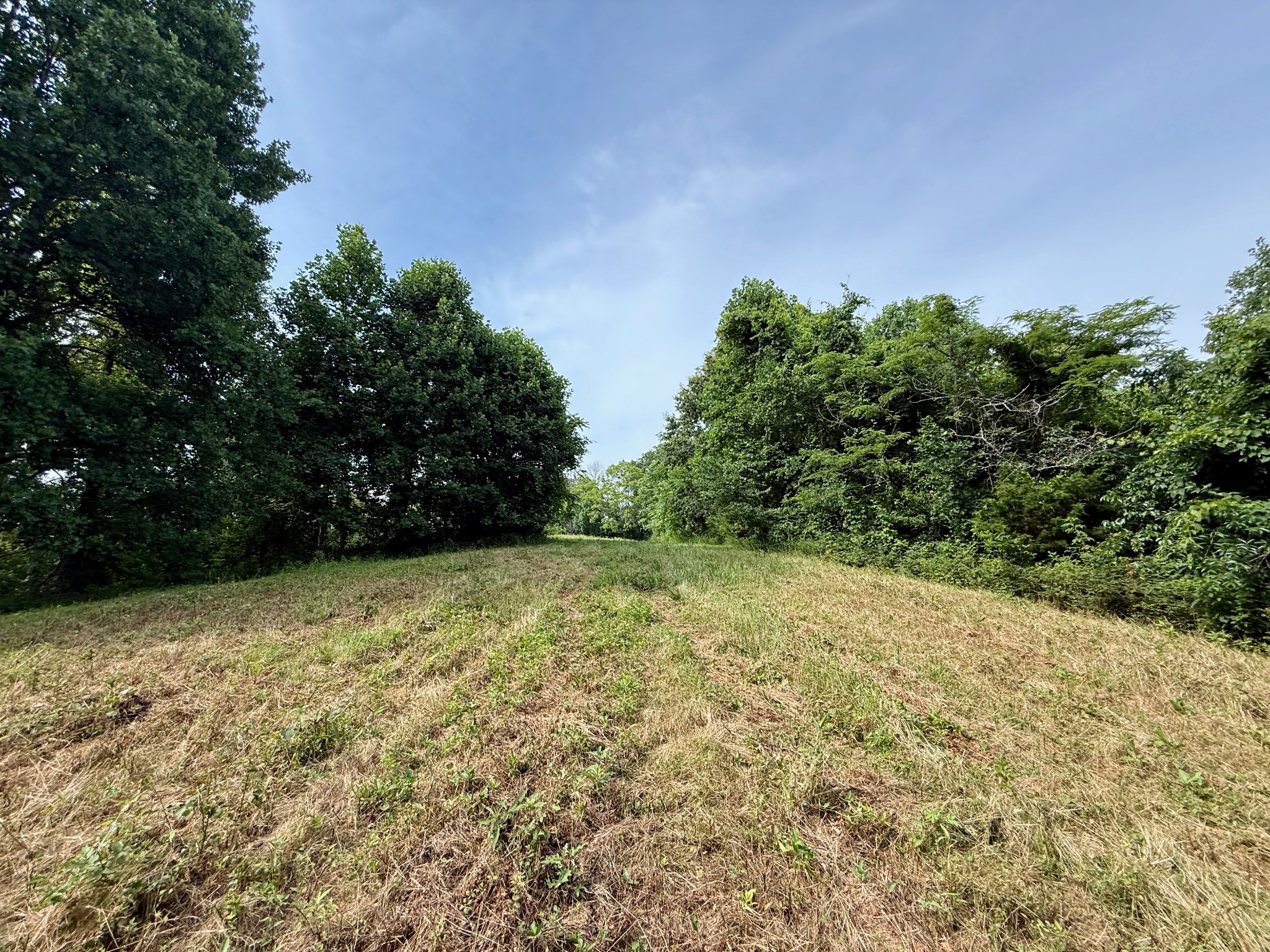 2663 Clear Fork Road Liberty, TN 37095 - Photo 14 of 100