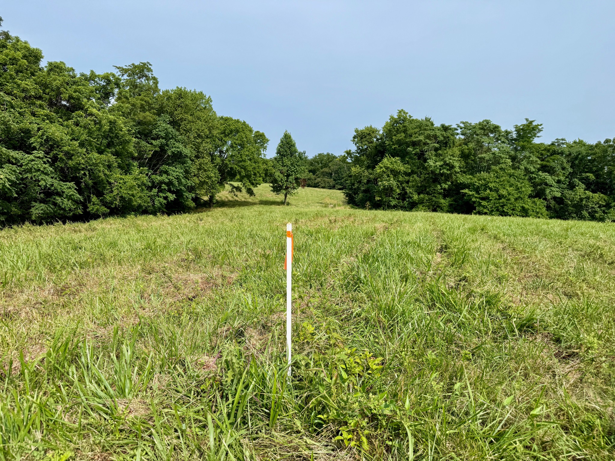 2663 Clear Fork Road Liberty, TN 37095 - Photo 16 of 100