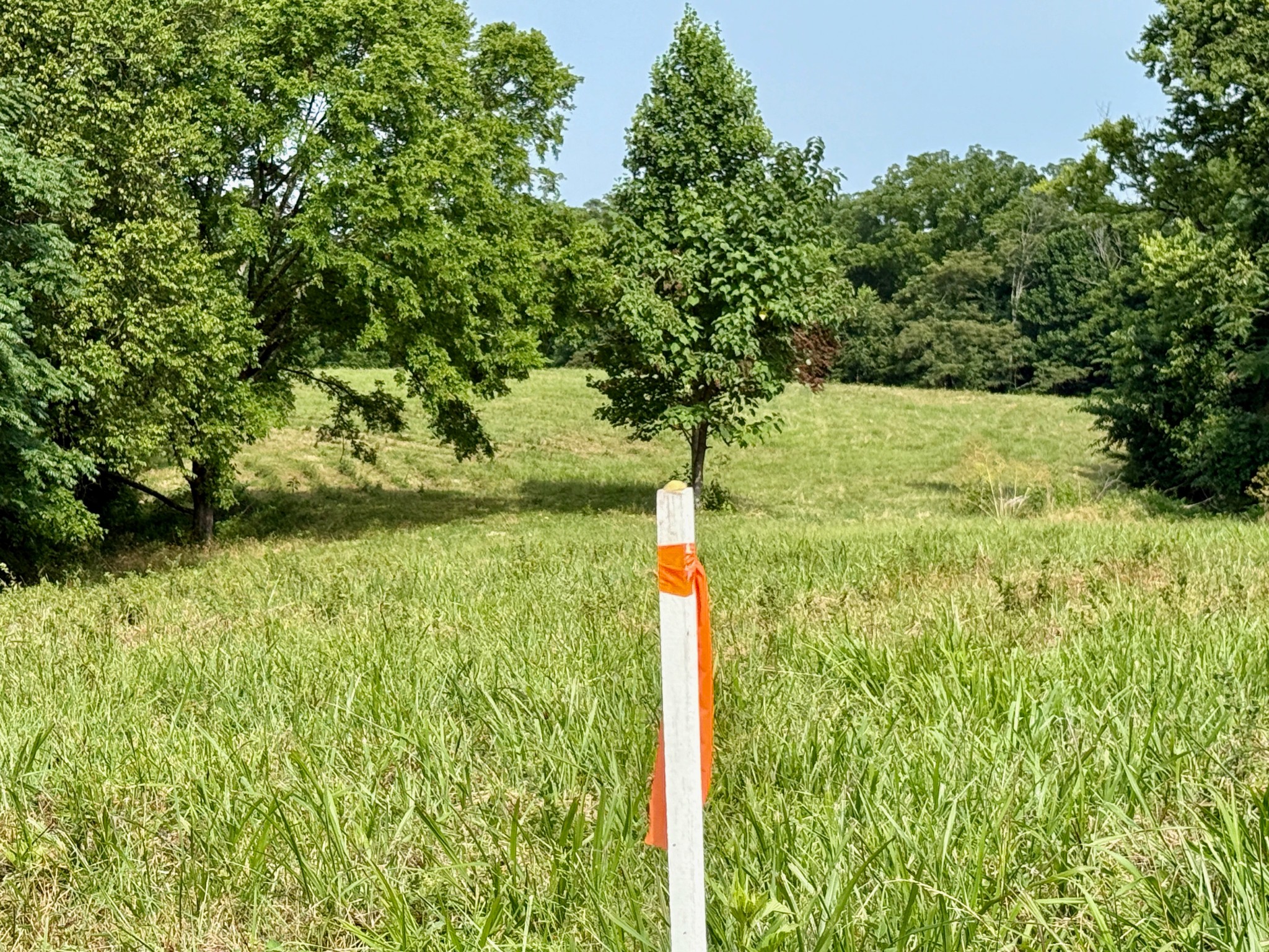 2663 Clear Fork Road Liberty, TN 37095 - Photo 17 of 100