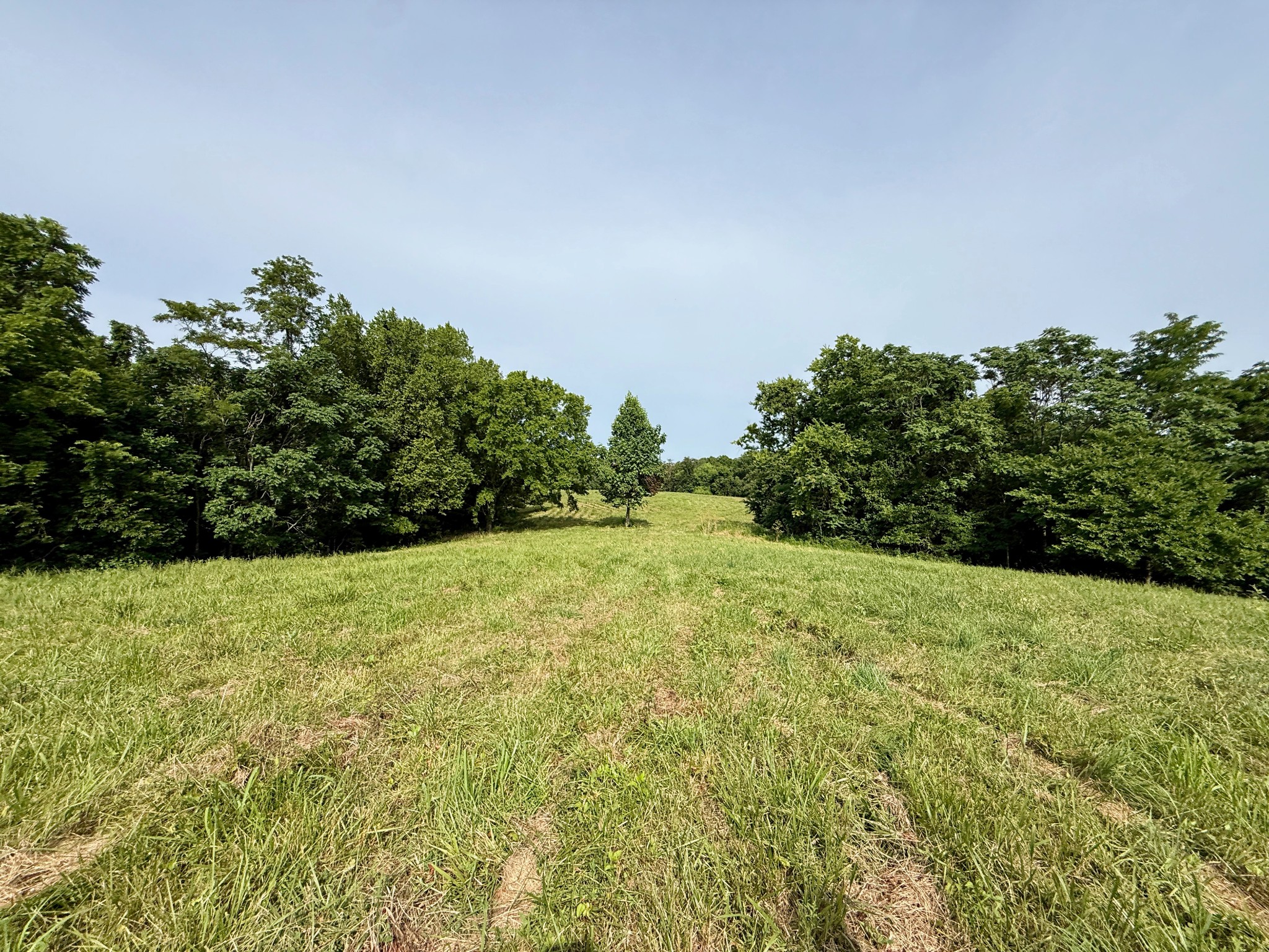 2663 Clear Fork Road Liberty, TN 37095 - Photo 2 of 100