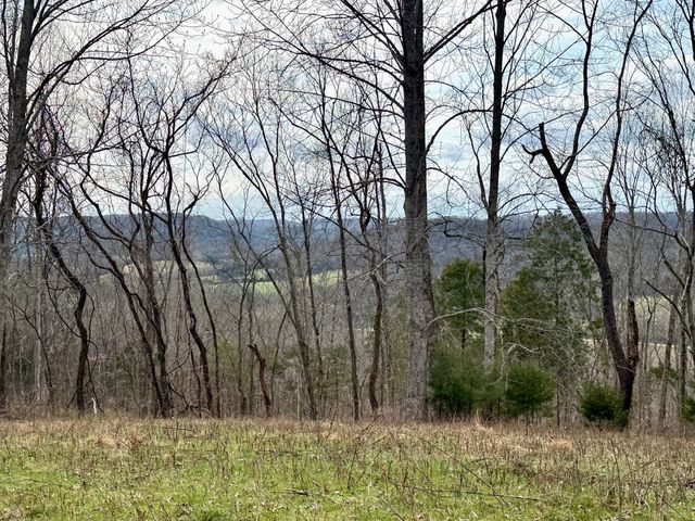 $375,000 | 2663 Clear Fork Road, Liberty, TN 37095