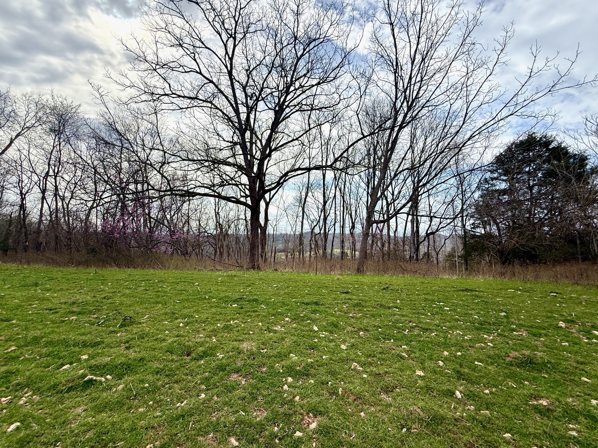 2663 Clear Fork Road Liberty, TN 37095 - Photo 28 of 100