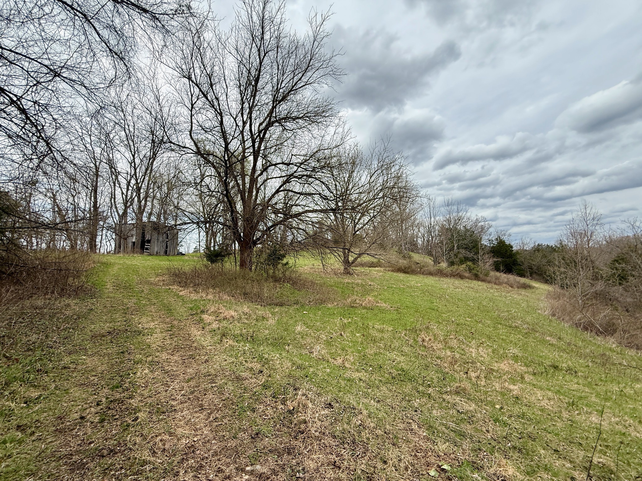 2663 Clear Fork Road Liberty, TN 37095 - Photo 40 of 100
