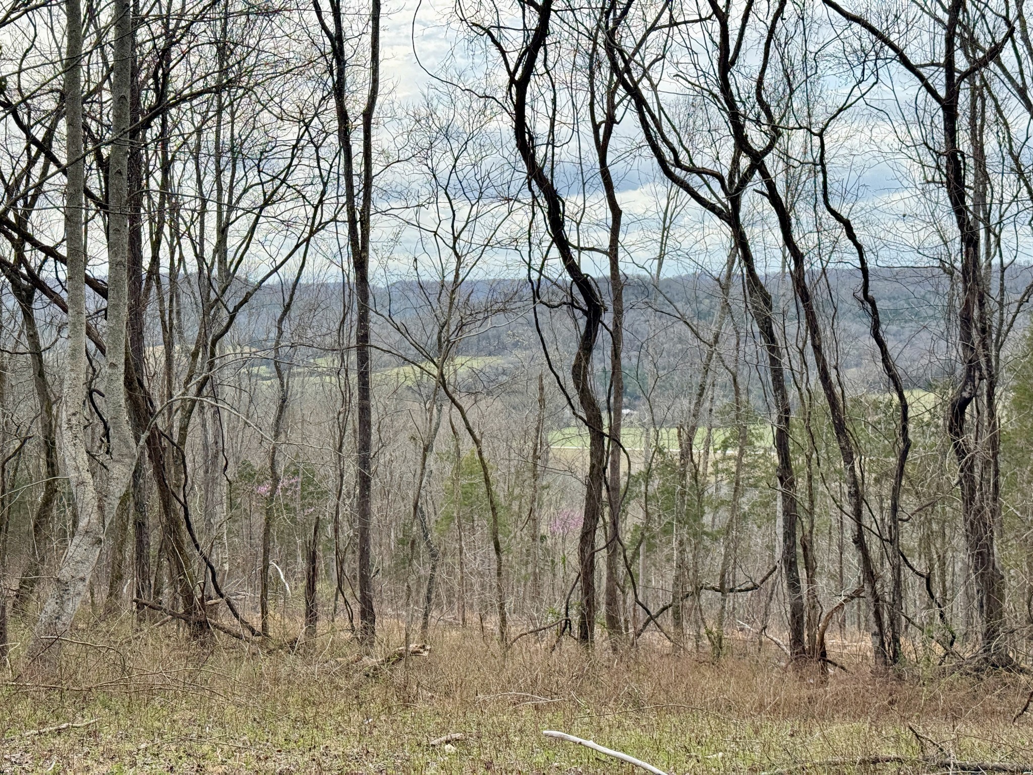 2663 Clear Fork Road Liberty, TN 37095 - Photo 43 of 100