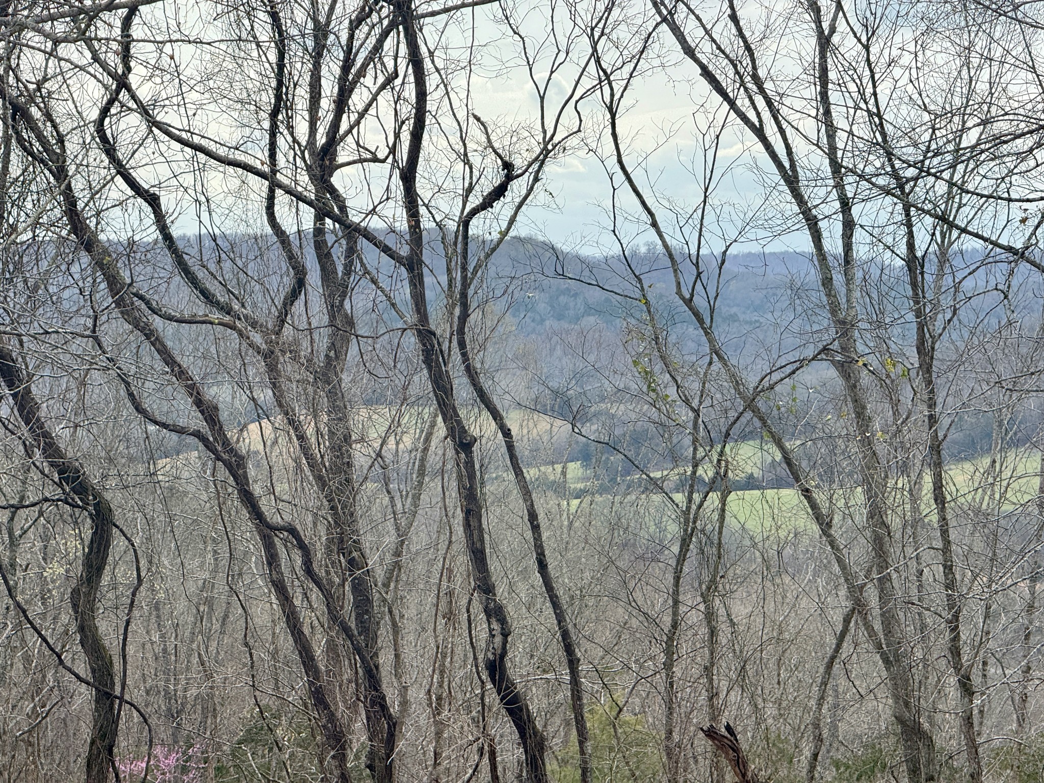 2663 Clear Fork Road Liberty, TN 37095 - Photo 45 of 100