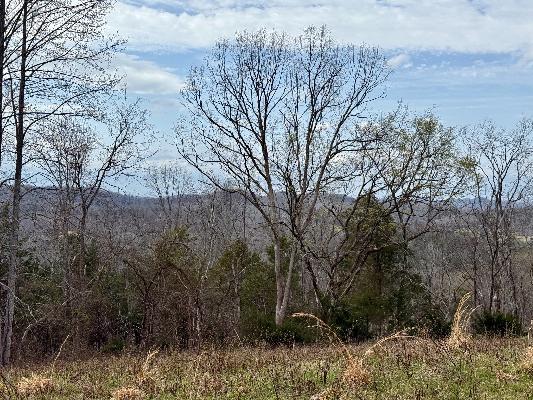 2663 Clear Fork Road Liberty, TN 37095 - Photo 46 of 100