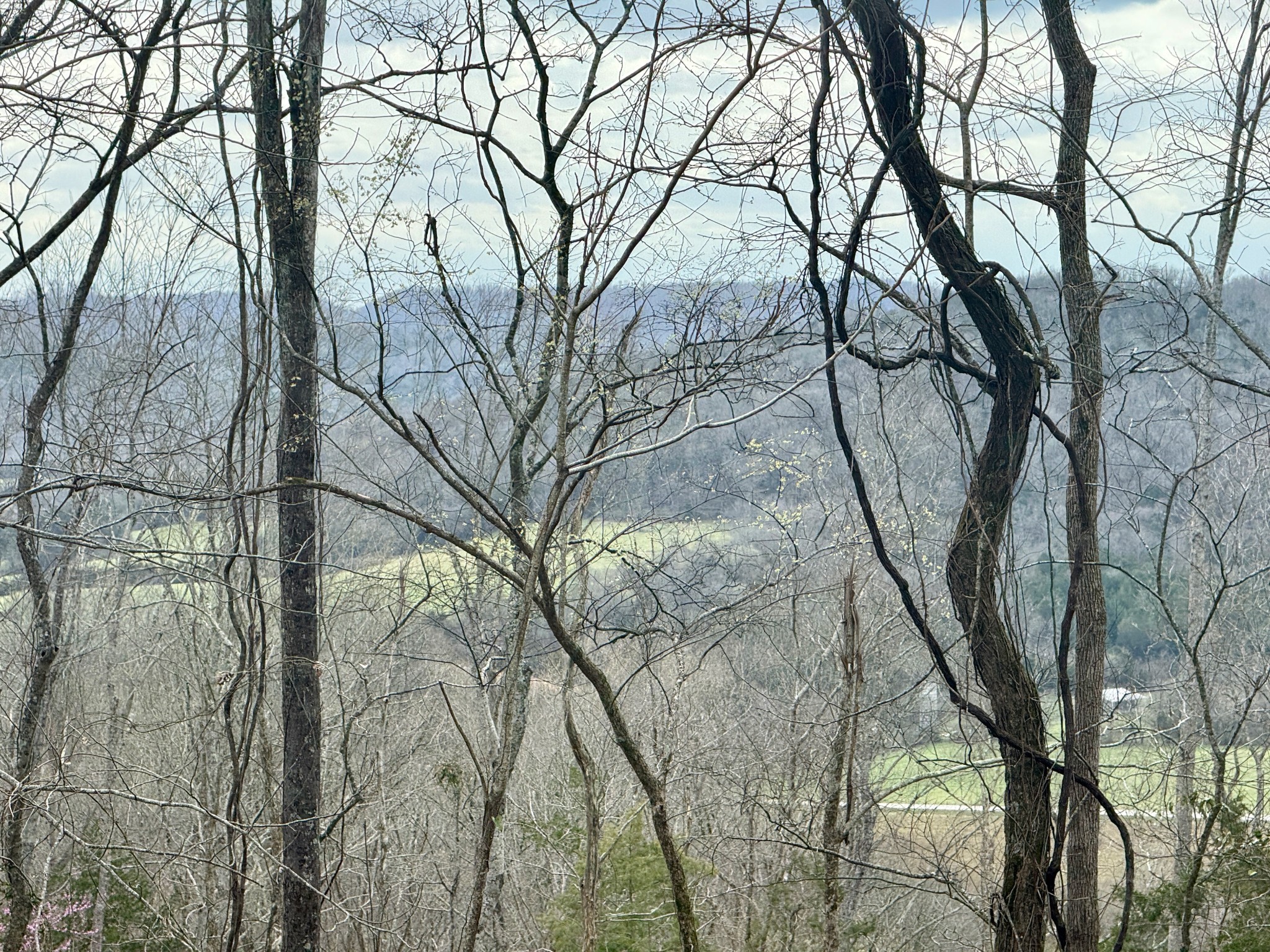 2663 Clear Fork Road Liberty, TN 37095 - Photo 47 of 100