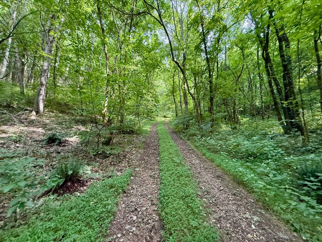 $375,000 | 2663 Clear Fork Road, Liberty, TN 37095