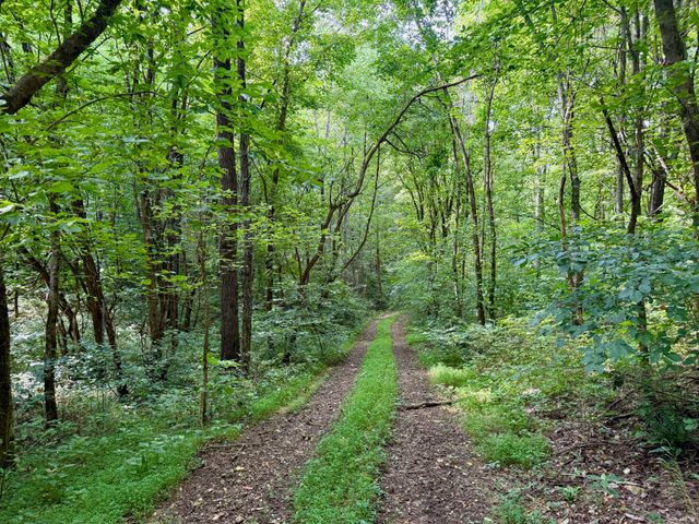 $375,000 | 2663 Clear Fork Road, Liberty, TN 37095