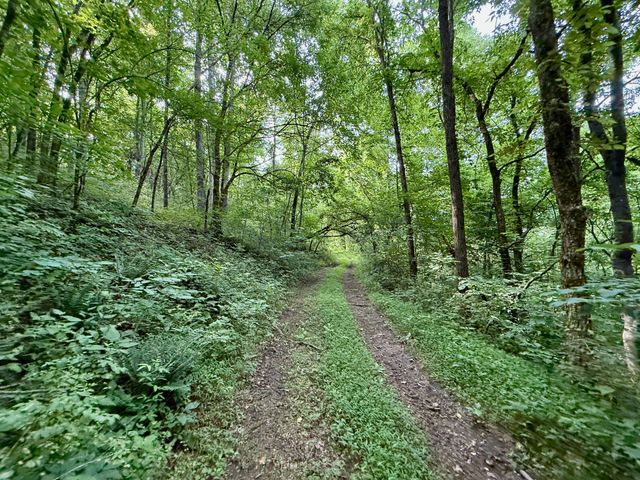 $375,000 | 2663 Clear Fork Road, Liberty, TN 37095