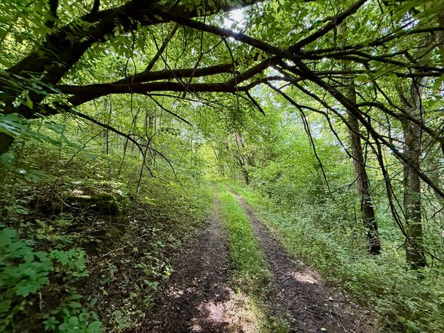 $375,000 | 2663 Clear Fork Road, Liberty, TN 37095