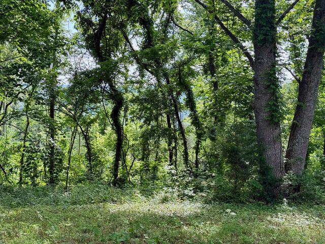 $375,000 | 2663 Clear Fork Road, Liberty, TN 37095